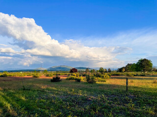 Sanddünen im Naturschutzgebiet Sandweier mit aufziehenden Gewitterwolken
