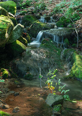 potok 2 © Mariusz Sowula