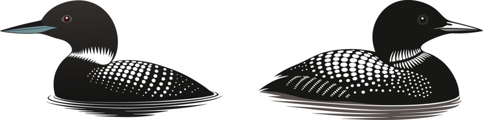  loon silhouette vector illustration on white back ground 