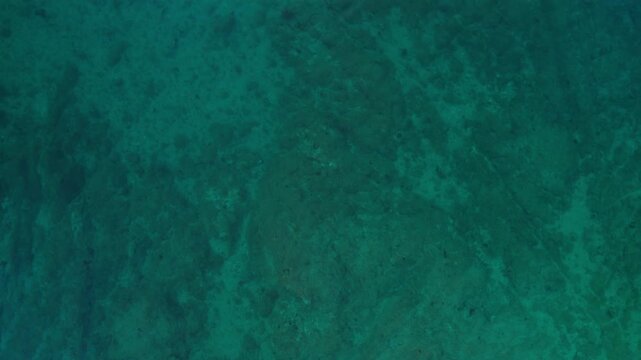 Flying Over Crystal Clear Water in Krk, Croatia 