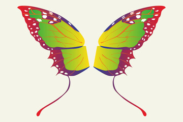 illustration of a butterfly
