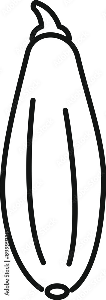 Poster simple line drawing of a zucchini squash with a stem on a white background