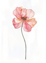 Isolated watercolor pink flower with green stem and leaves. Abstract illustration on white background. Springtime botanical art