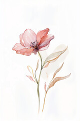 Isolated watercolor pink flower with green stem and leaves. Abstract illustration on white background. Springtime botanical art
