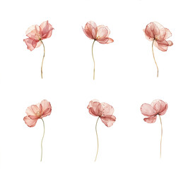 Set of six pink flowers with long stems in different positions. Watercolor illustrations on white background. Springtime botanical art for greeting card, invitation, and poster. Isolated floral design