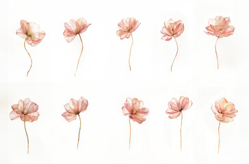 Set of ten pink flowers with long stems in different positions. Watercolor illustrations on white background. Springtime botanical art for greeting card, invitation, and poster. Isolated floral design