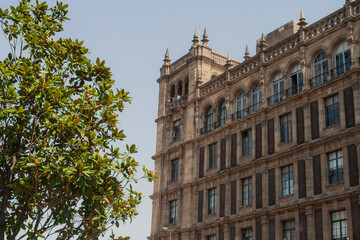 Paisaje de un edificio antiguo con un árbol