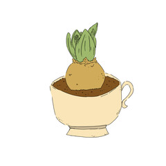 Hyacinth plant planted in coffee cup mockup color illustration