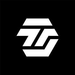 Letter TS creative bold monogram logo design