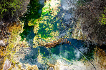 Blue Green Algae in Waimangu Volcanic Valley - New Zealand