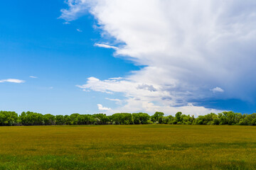 green field and blue sky