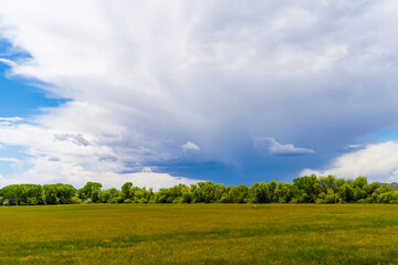 green field and blue sky