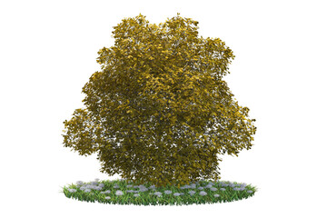 Obraz premium A tree stands in a meadow. 3D rendered image.