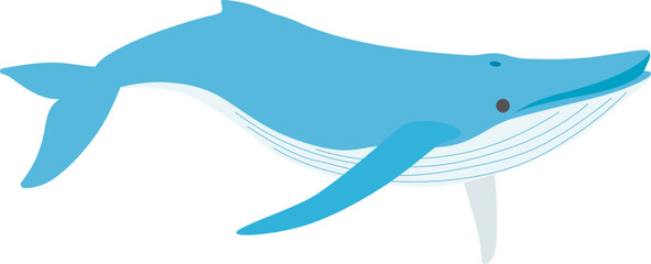 クジライラスト デフォルメ2
ザトウクジラをデフォルメイラストで可愛く描きました。