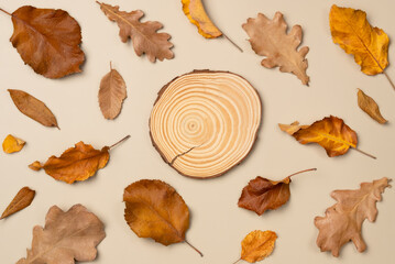 Autumn composition. Podium, pedestal, presentation empty mockup with leaves on beige background. Top view, flat lay