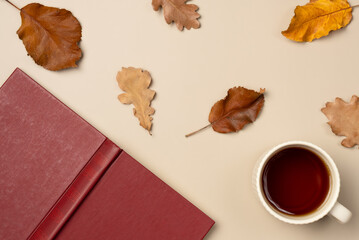 Autumn composition with book, leaves and cup of tea on beige background. Leisure concept, reading a...