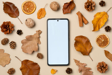 Empty smartphone screen with leaves, nut, cones, dried fruits, cinnamon sticks on beige background. Autumn composition. Top view, flat lay