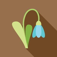 Blue snowdrop flower is growing on a brown background with a long shadow