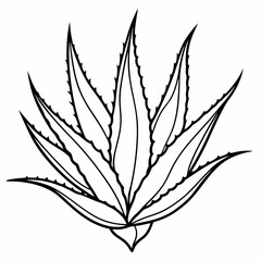 Aloe Vera line art vector