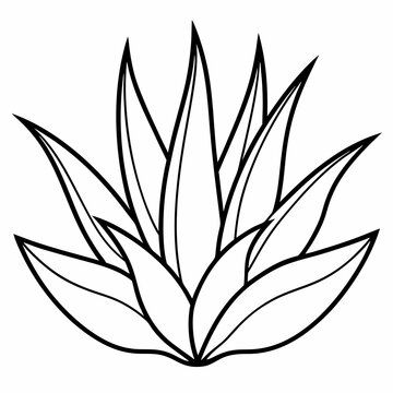black and white agave plant outline clip art preview
