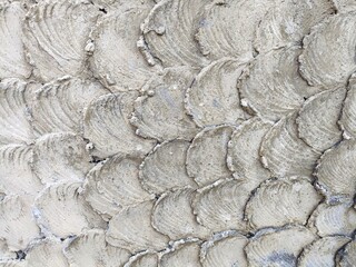Dirty plaster wall texture with overlapping smears that look like fish scales © John