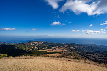 初冬の稲取細野高原
