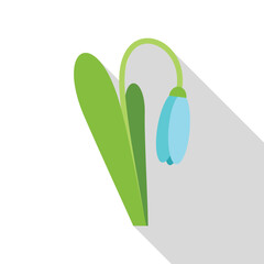 Blue snowdrop flower is growing with long shadow on the background