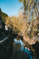 ペリーロードの朝