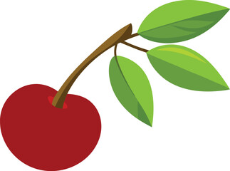 cherry on a branch on white background  
