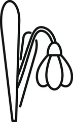Simple line drawing of a snowdrop flower growing with its stem and leaf