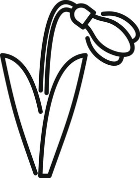 recommend clip art: Minimalist line art illustration of a snowdrop flower blooming, symbolizing the arrival of spring and new beginnings