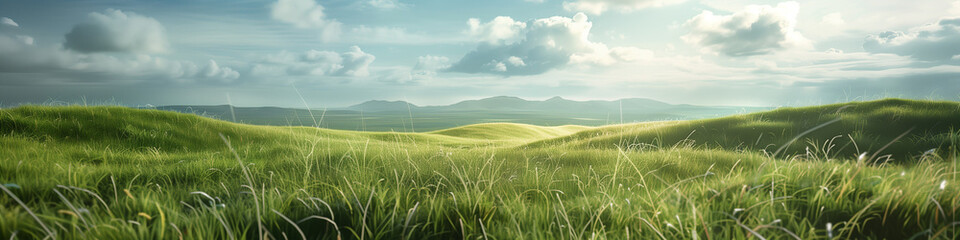 Fototapeta premium Breathtaking Landscape Panorama with Lush Grasslands, Majestic Snow-Capped Mountains, and a Serene Blue Sky, Perfect as a Desktop Wallpaper or Background Image.