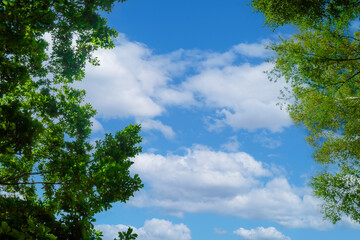 夏の青空と白い雲
