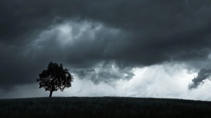 Silhouette of a lone tree in a stormy field with dark clouds overhead