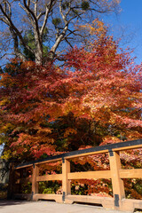 紅葉の小諸城址 懐古園