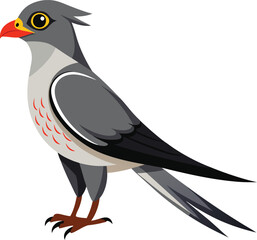 Colorful Illustration of Cuckoo  vector art