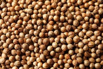 Dried coriander seeds as background, top view