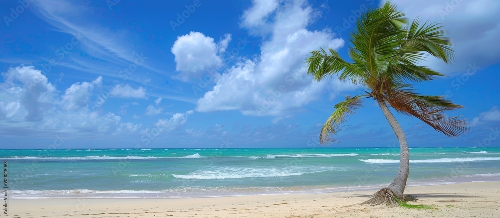 Poster a tropical beach scene with a palm tree leaning in the wind perfect for a copy space image