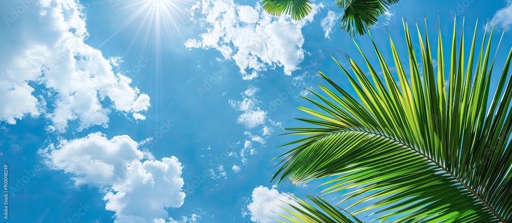 Aufkleber a scenic summer scene with palm leaves against a blue sky with fluffy clouds on a sunny day ideal fo