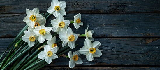 Obraz premium White daffodils are beautifully arranged on a dark wooden backdrop creating a perfect copy space image for text placement