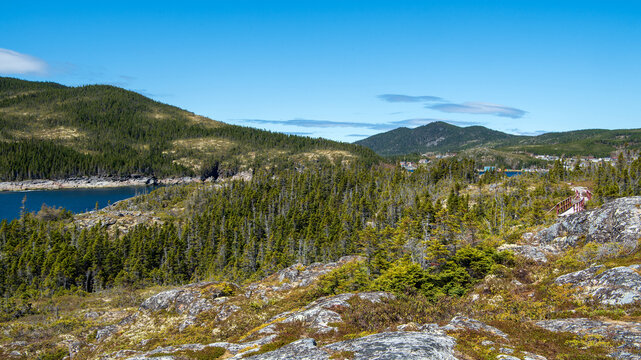 The viewing platform at the end of the Oceanview Hiking Trail in Fleur de Lys offers a scenic panorama. It overlooks the Fleur de Lys harbor in the distance and sections of the trail.