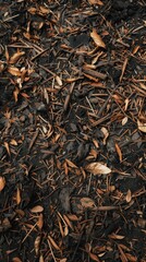 Earthy Mulch. Natural Texture Concept