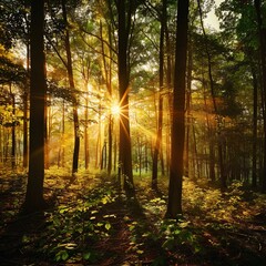 Fototapeta premium Silent Forest in spring with beautiful bright sun rays.