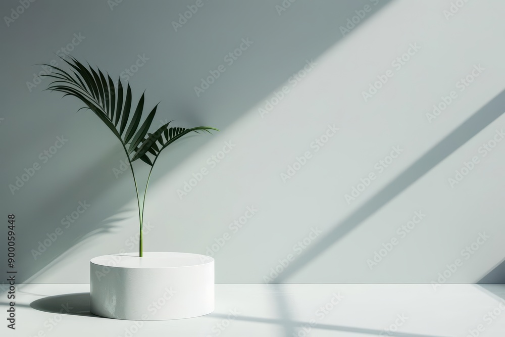 Poster a scandinavian style podium highlights minimalism and functionality, sunlight filtering through its 