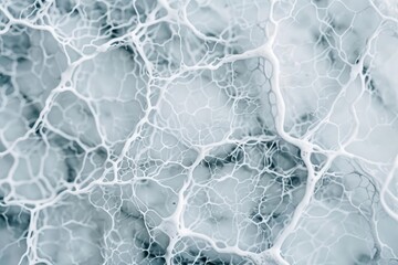 Obraz premium Silver Stain The silver stain method enhances the visibility of certain tissue elements