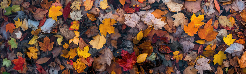 background of autumn