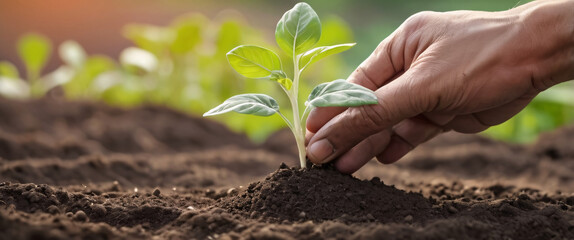 Expert hand of farmer checking soil health before growth a seed of vegetable or plant seedling, Business or ecology concept, analyze complex data sets in real-time, with a digital interface overlaid o