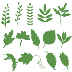 Set of different green leaves