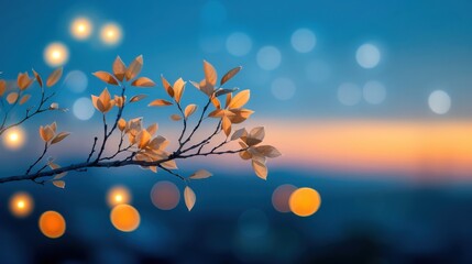 Dreamy Sunset with Delicate Branch Silhouette