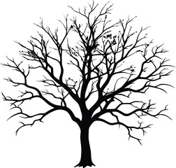 Silhouette of a bare tree